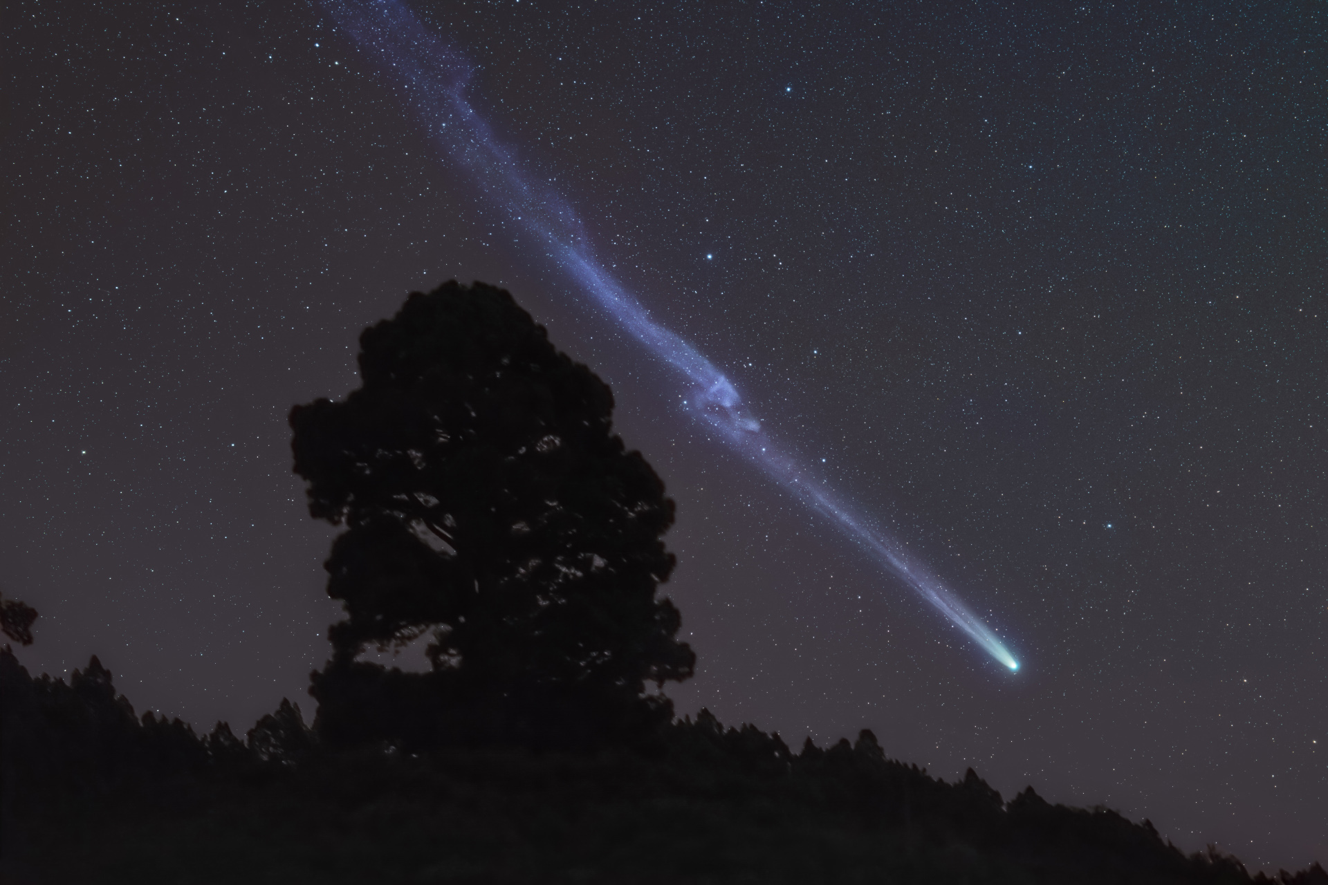 Leonard_2021-12-26_tree135mm_no-meteor_60x40